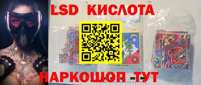 гидра Славгород