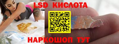 гидра Славгород
