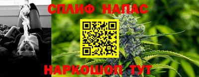 гидра Славгород