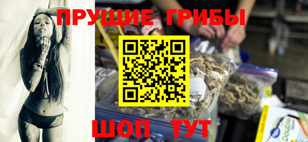 Псилоцибиновые грибы Magic Shrooms  Галлюциногенные грибы GOLDEN TEACHER  Новодвинск  Вход с VPN 
